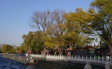 北京大风傍晚将减弱 昼夜温差超10℃