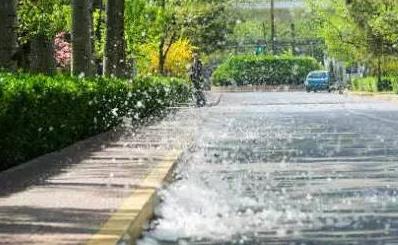 今年第3个杨柳飞絮高发期将持续一周