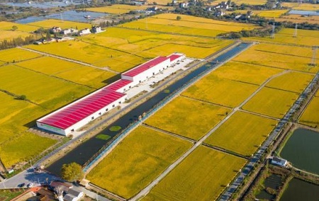 希望在于“田野” 浙江南浔的“共同富裕”探索之路