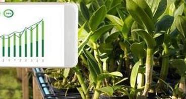 数字化转型为农企“换道超车”提供可能