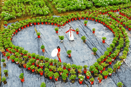 2021首届中国（六合）金陵国卉牡丹节摄影大赛颁奖仪式在宁举办