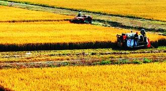 两部门印发通知支持粮食生产 智能农机等补贴比例提至35%