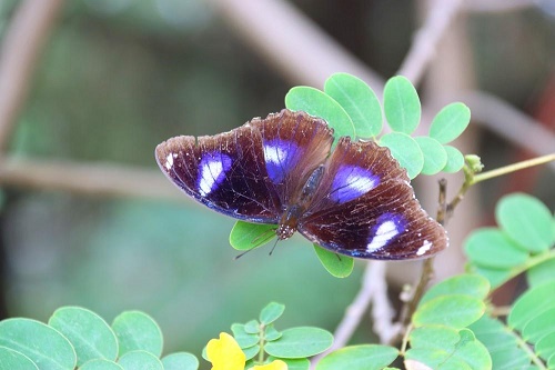 世界环境日：北京交出生态“成绩单” 为高质量发展“蓄能”
