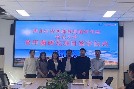 深化产学研合作 黑龙江拜泉县助推食用菌产业再升级