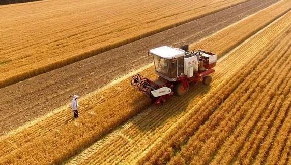 农业农村部：全国麦收过六成 机收比例超98%