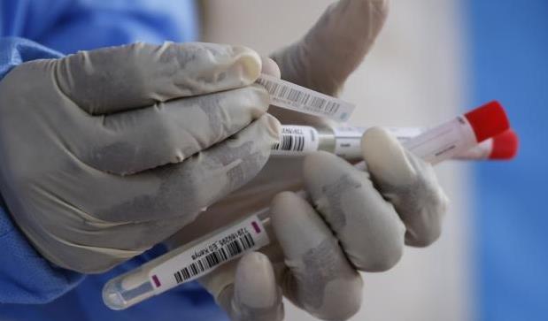 31省份新增新冠肺炎确诊病例19例 其中本土病例4例