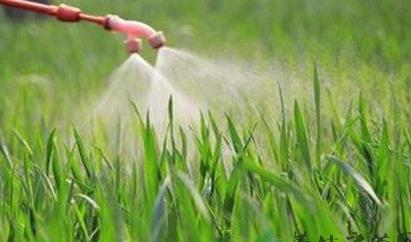 三部门：加强化肥供应 全力保障“三夏”生产