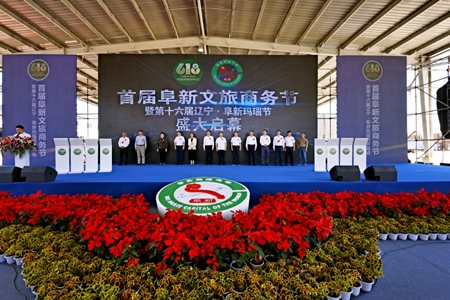 第十六届辽宁·阜新玛瑙节盛大开幕