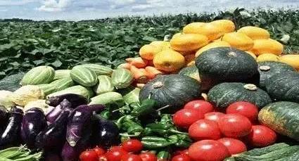 商务部：上周食用农产品价格有所回落 生产资料价格平稳运行