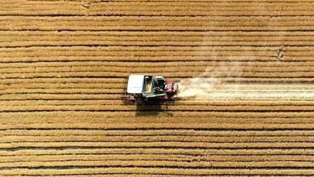 专家：种子是农业&ldquo;芯片&rdquo; 粮食安全前提是种业安全