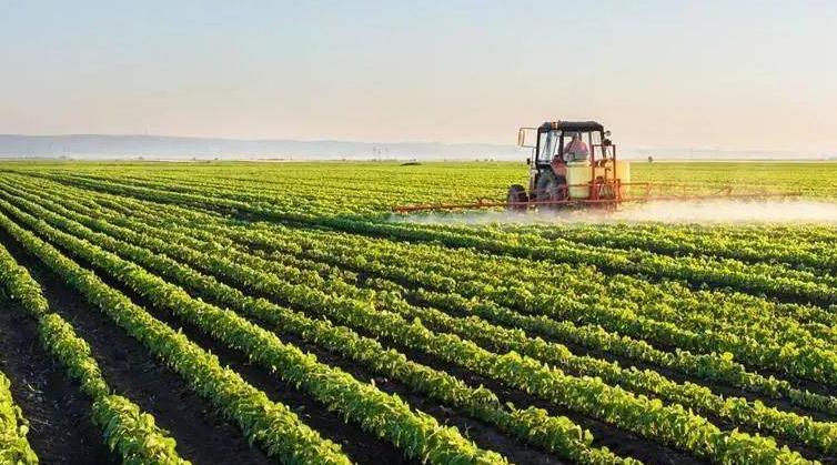 三大粮食作物两类保险实施范围扩大 增强农民抵御风险能力