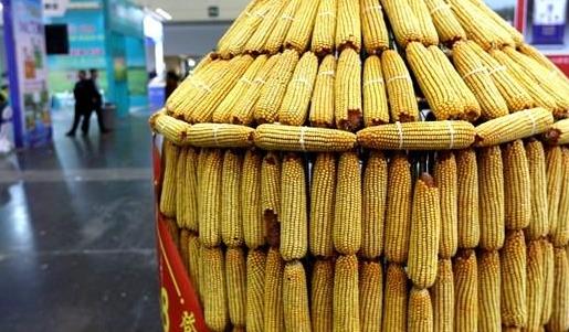 两部门：继续实施玉米和大豆生产者补贴等政策