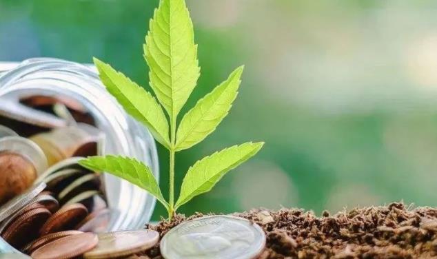 新农险正式扩容 亟待建立理赔定损与风险统筹机制