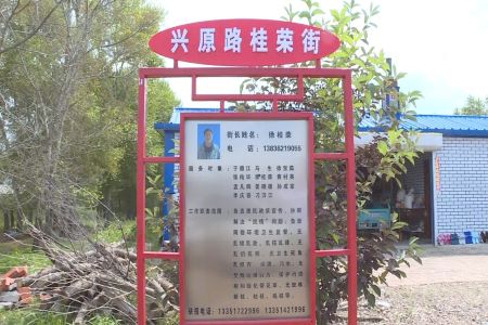 创新“街长”“塘长”制 黑龙江讷河市有效推进村屯治理改善人居环境