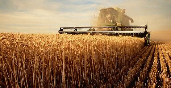 三大粮食作物农业保险政策扩面提标