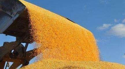 粮食连年丰收用水量却不增，这是咋做到的？