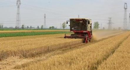 农业农村部：提升早稻机械化收获质量 夯实粮食增产基础
