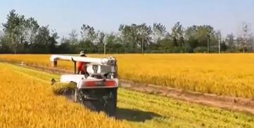 减损就是增产！农业农村部部署&ldquo;双抢&rdquo;早稻机收减损工作