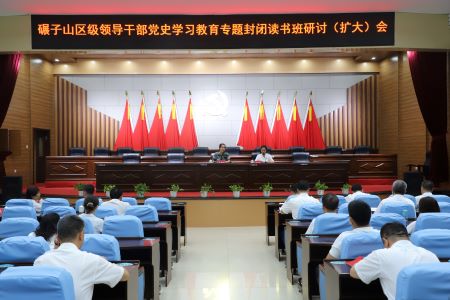 践行宗旨服务人民 齐齐哈尔市碾子山区奋力书写经济社会发展新篇章