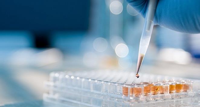 发现17例阳性！南京将开展全员核酸检测