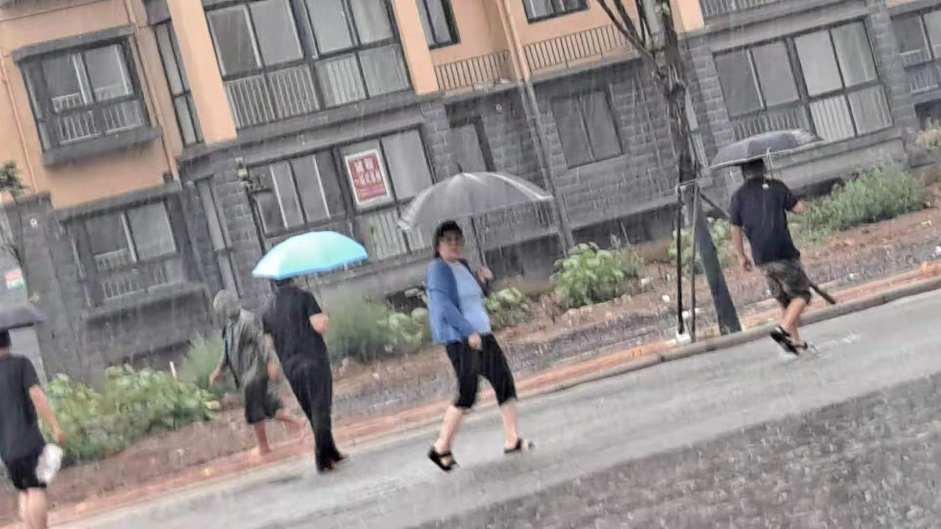 迎&ldquo;汛&rdquo;而上，守护封丘县安全度汛