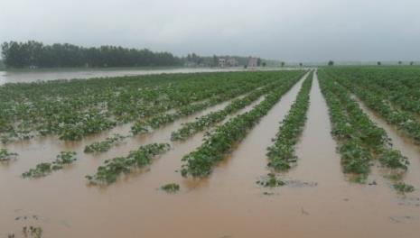 洪涝灾害给粮食生产带来威胁 粮食丰收关键在防灾减灾