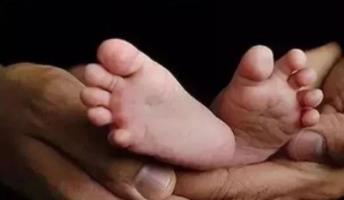 确保三孩生育政策落地见效 国家卫健委提出六大重点任务