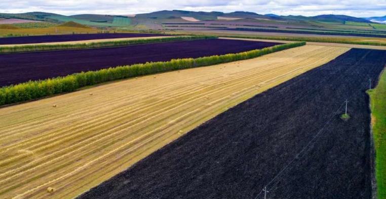 我国明确未来五年黑土地保护实施方案