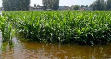 洪灾后猪肉、蔬菜、粮食会涨价吗？回应来了