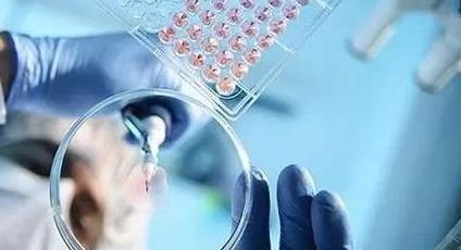 政策支持背后，到底是什么困住了原创药研发？