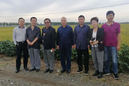 干细胞水稻引进辽阳——记辽宁联合资产管理有限公司扶贫干部景希龙