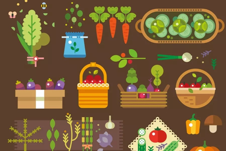 辽宁省多举措推动农产品供应链体系建设