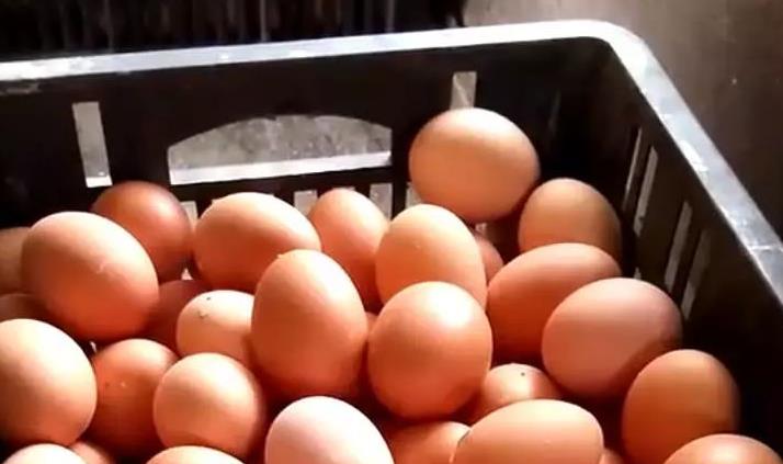 鸡蛋涨价，1斤8、9元，要追上猪肉？