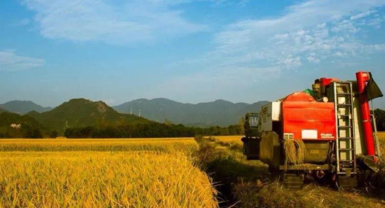 再部署！农业农村部：抓紧抓细秋粮作物重大病虫害防控工作