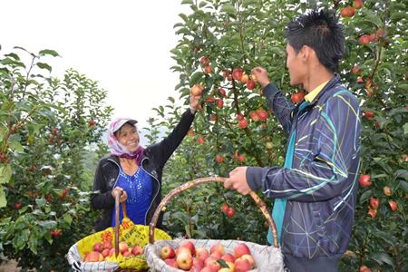铁岭市：决战脱贫 不负人民