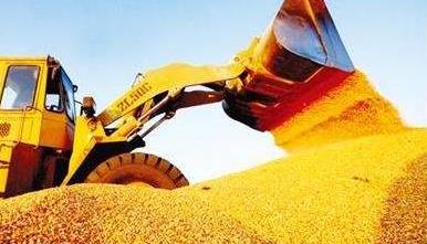 国家统计局：全年粮食丰收有较好基础