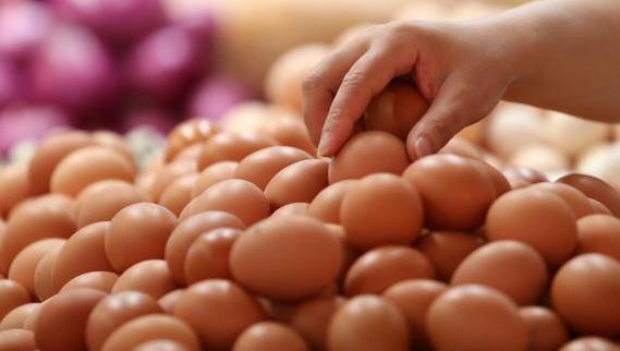 鸡蛋供给有望平稳增加 专家：国内蛋价不会持续走高