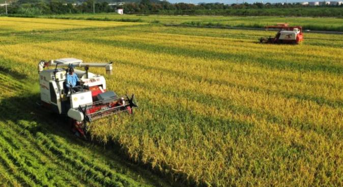 2021年全国早稻总产量2802万吨