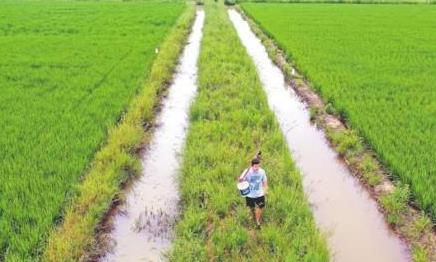 19.18亿亩：耕地保有量实现规划目标
