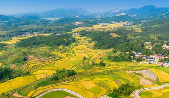 “十四五”时期我国将加快农业绿色发展