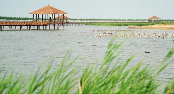 我国以占全球6%的淡水资源保障了全球20%的人口用水