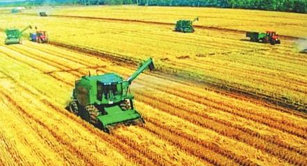 确保粮食供应“不掉链子”