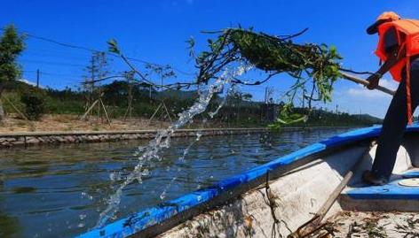 31个省份全部建立了河长湖长制