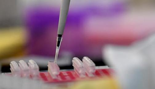 31省份新增确诊病例49例 其中本土病例22例