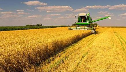 粮食丰收后，如何再增产？