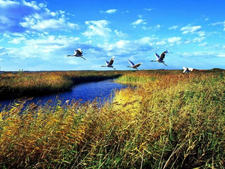 第三届东部湿地旅游联盟推进会9月16日在双鸭山启幕