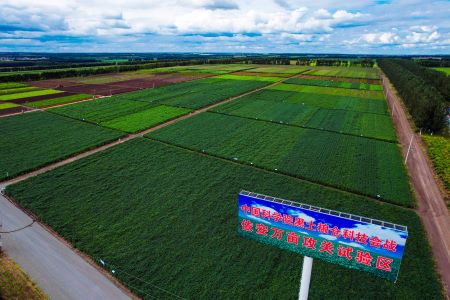 黑龙江依安县全力打造北纬47度黑土有机食品生产第一县