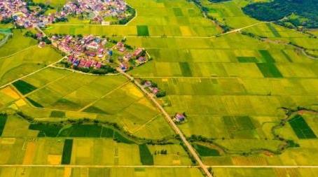 农业农村部：严禁将生活垃圾等倾倒排放到高标准农田