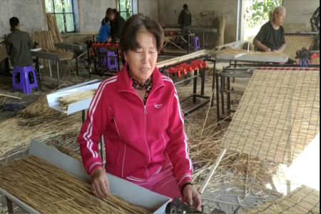 黑龙江富裕县：“小苇帘”撑起村民致富梦想