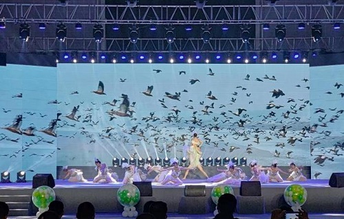 &ldquo;5+4&rdquo;梦幻联动 黑龙江打出湿地旅游&ldquo;组合拳&rdquo;